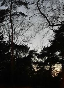 Jacquelien 01 Eindelijk iets beter beeld